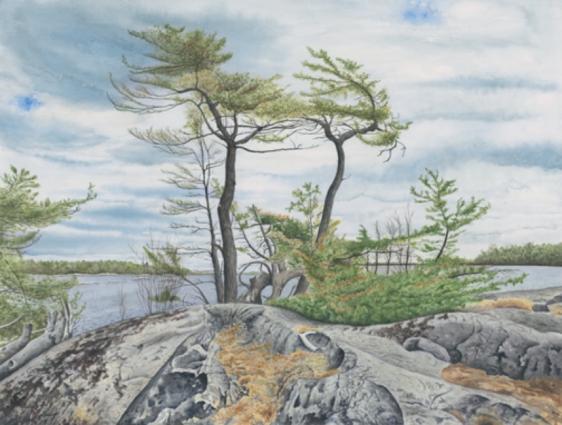 Summer Day in Pointe au Baril 